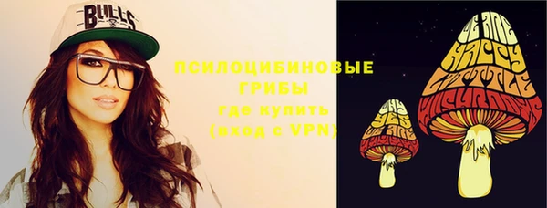 стаф Гатчина