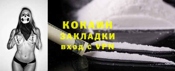 ПСИЛОЦИБИНОВЫЕ ГРИБЫ Белокуриха