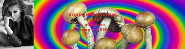 кокаин колумбия Баксан