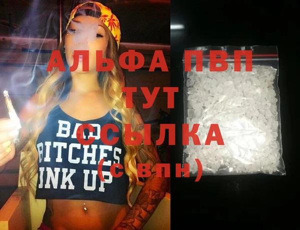 ПСИЛОЦИБИНОВЫЕ ГРИБЫ Белокуриха