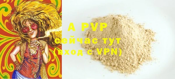 ПСИЛОЦИБИНОВЫЕ ГРИБЫ Белокуриха