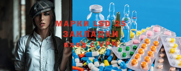 ПСИЛОЦИБИНОВЫЕ ГРИБЫ Белокуриха